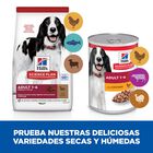 Hill's Science Plan Adult Medium Cordero y Arroz pienso para perros, , large image number null